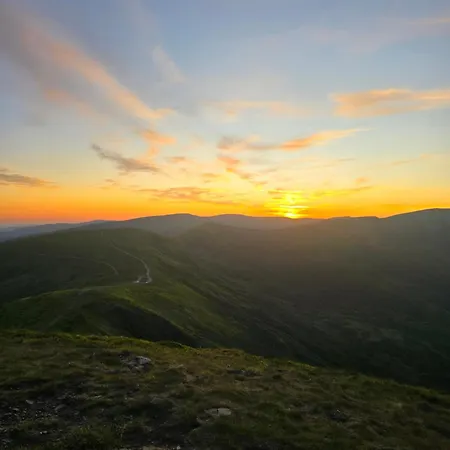 мігалі Dragobrat