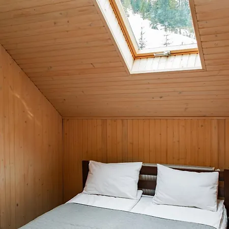 мігалі Dragobrat